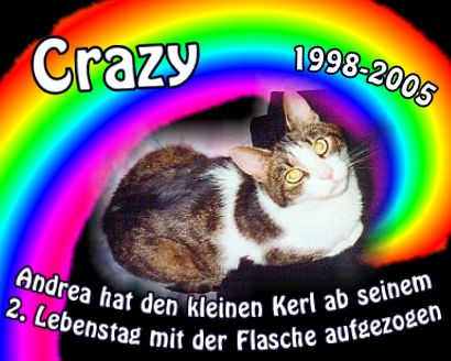 Crazy