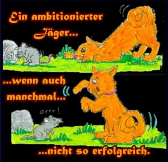 Felix auf der Jagd