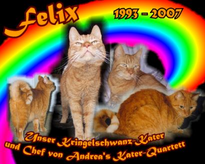 Felix