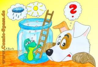 Wetterfrosch
