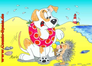 Hund am Strand