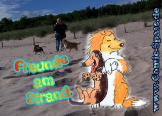 Freunde am Strand