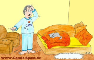 Schlafende Katze im Bett