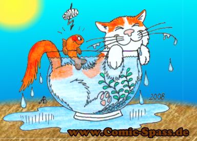 Fischglas & Katze