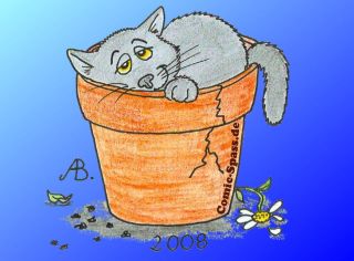 Katze im Blumentopf