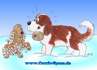 Schneerettung