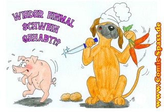 Schwein gehabt!?