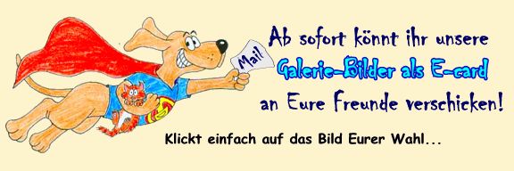 E-Cards