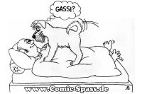 Gassi